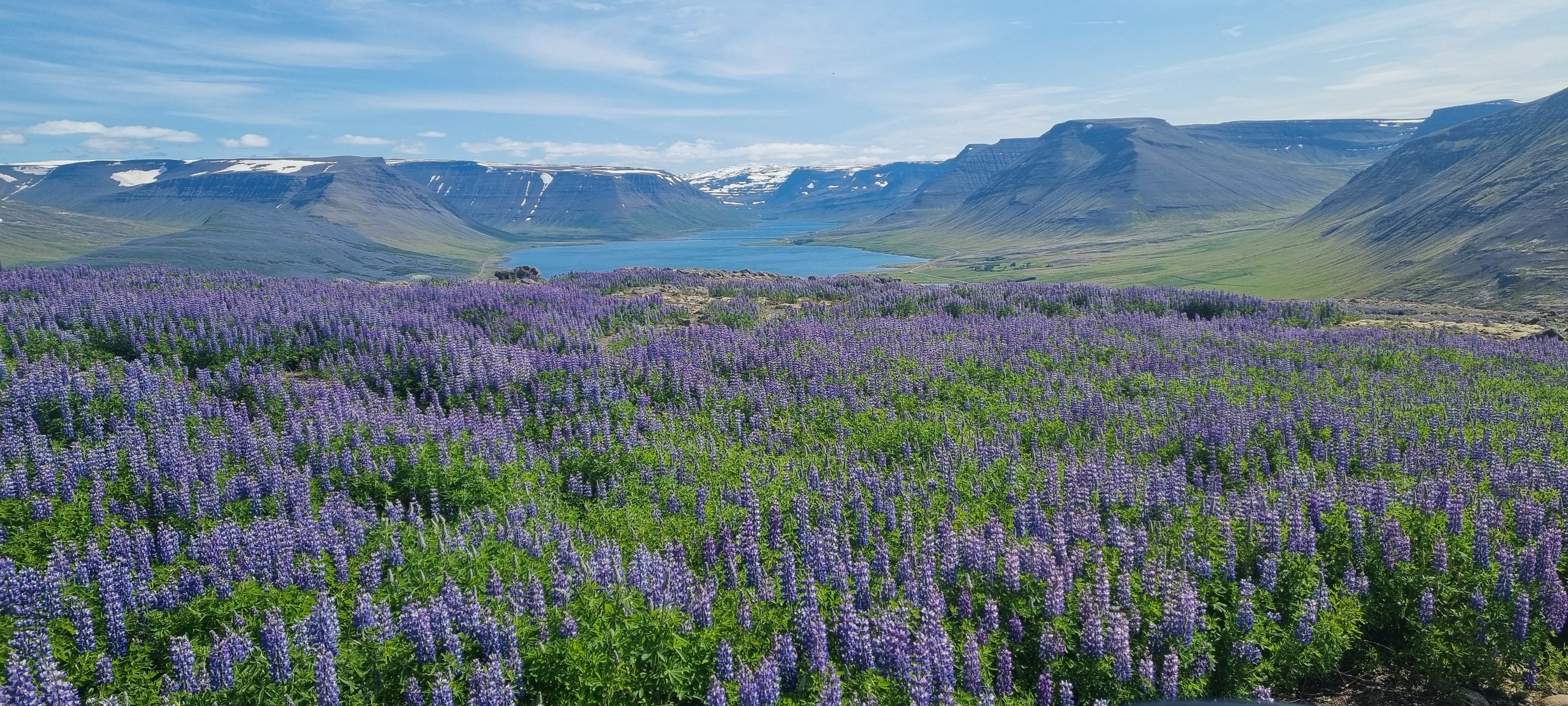 Iceland backcountry travel ehf.
